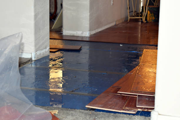 Professional Burst Pipe Cleanup technician working in Lamont, MI