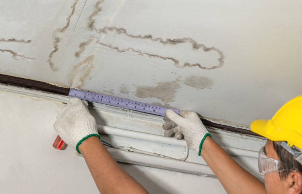 Reliable Burst Pipe Cleanup contractor in Lamont, MI by Water Damage Irwin